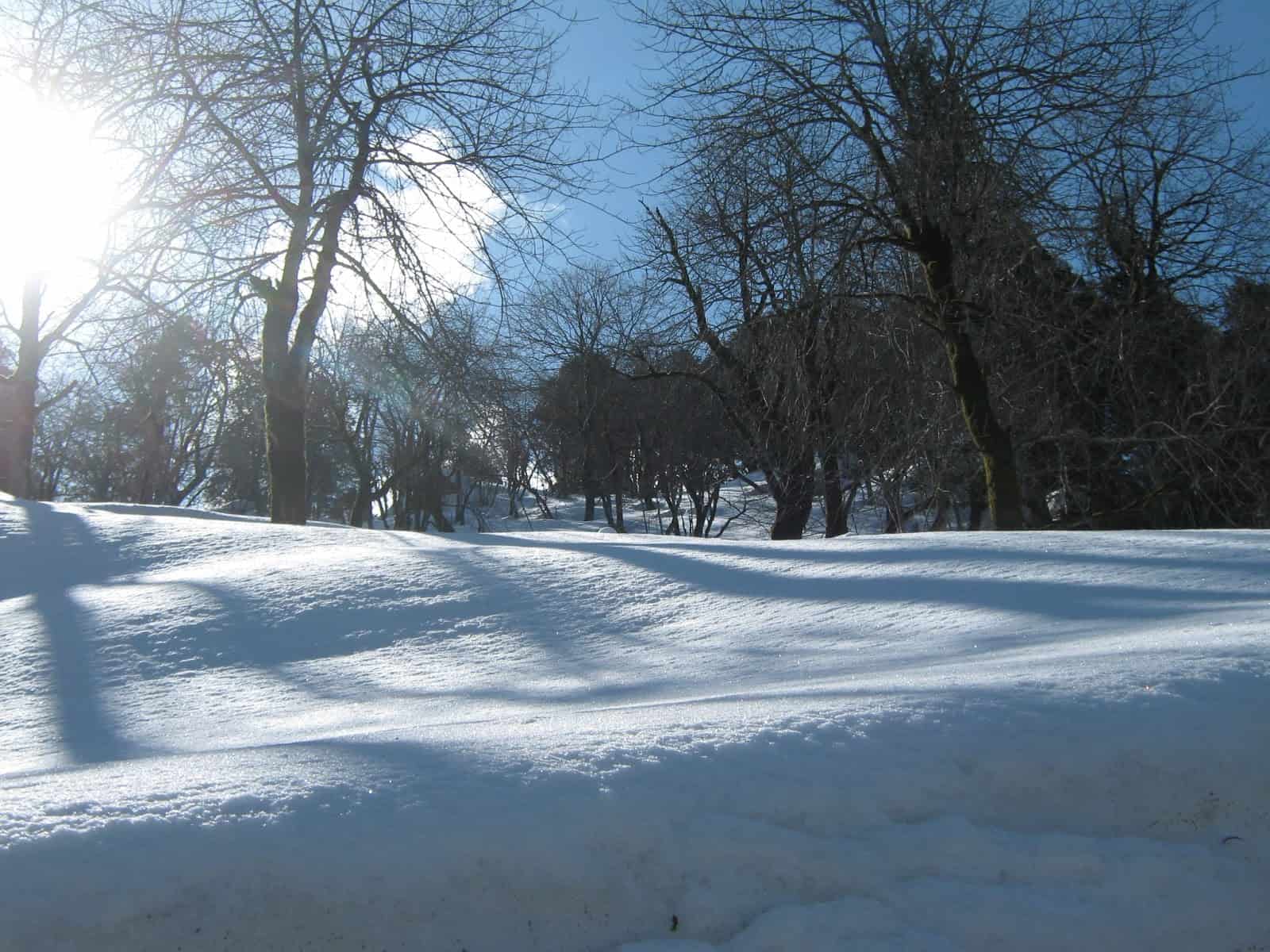 Jalori Pass - Shoja, a place to enjoy Snowfall near Delhi