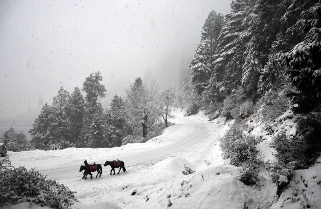Hatu Peak - Narkanda, a place to enjoy Snowfall near Delhi