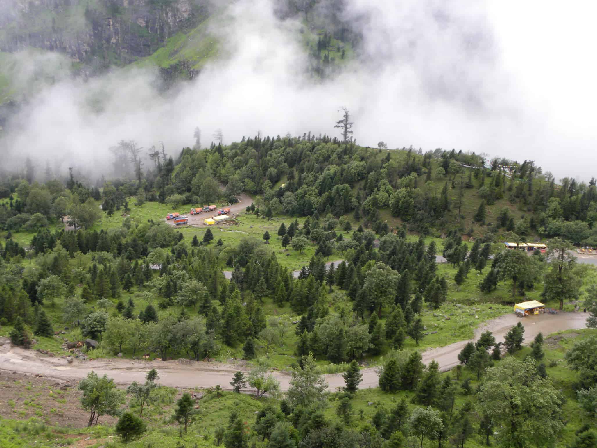 Green meadows near Manali similar to Jwara on the Hampta Pass trail