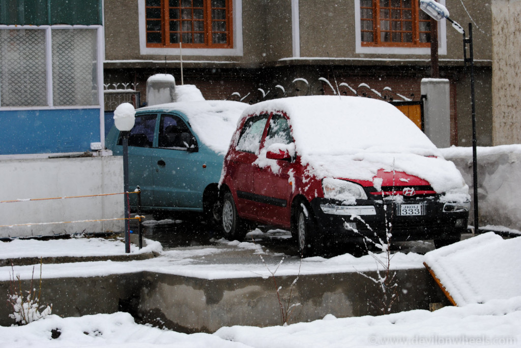 Fresh snowfall in the Himachal high country above Shimla