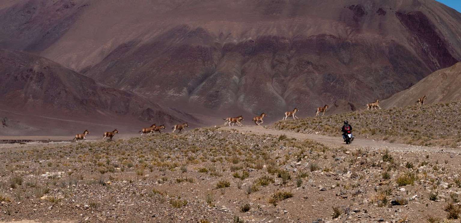 Prologue, Itinerary & Road Updates | Ladakh Mega Meet