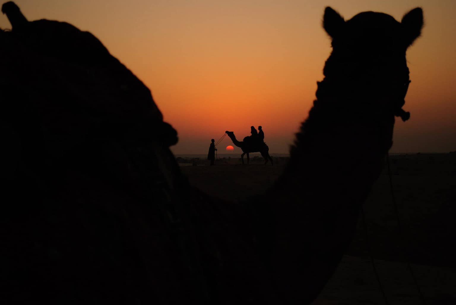 Royale Rajasthan | Stunning Sunset over Sand Dunes in Jaiselmer