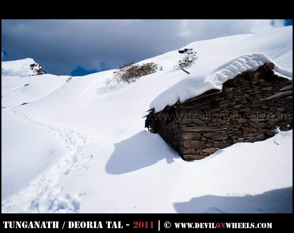 That snow trek to Tungnath - Chandrashilla