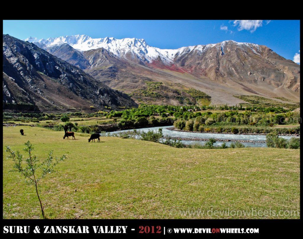 No wonder Zanskar Valley is called wonderland