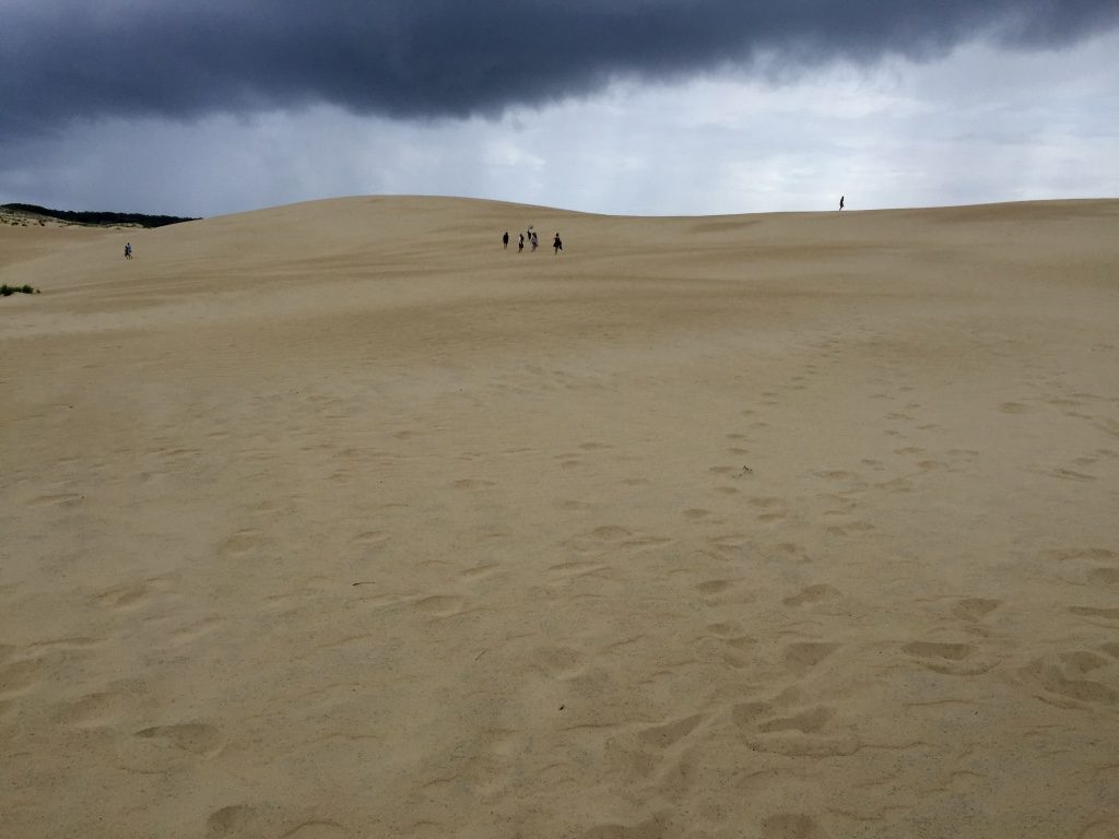 Sand Dunes of Jockey's Ridge State Park