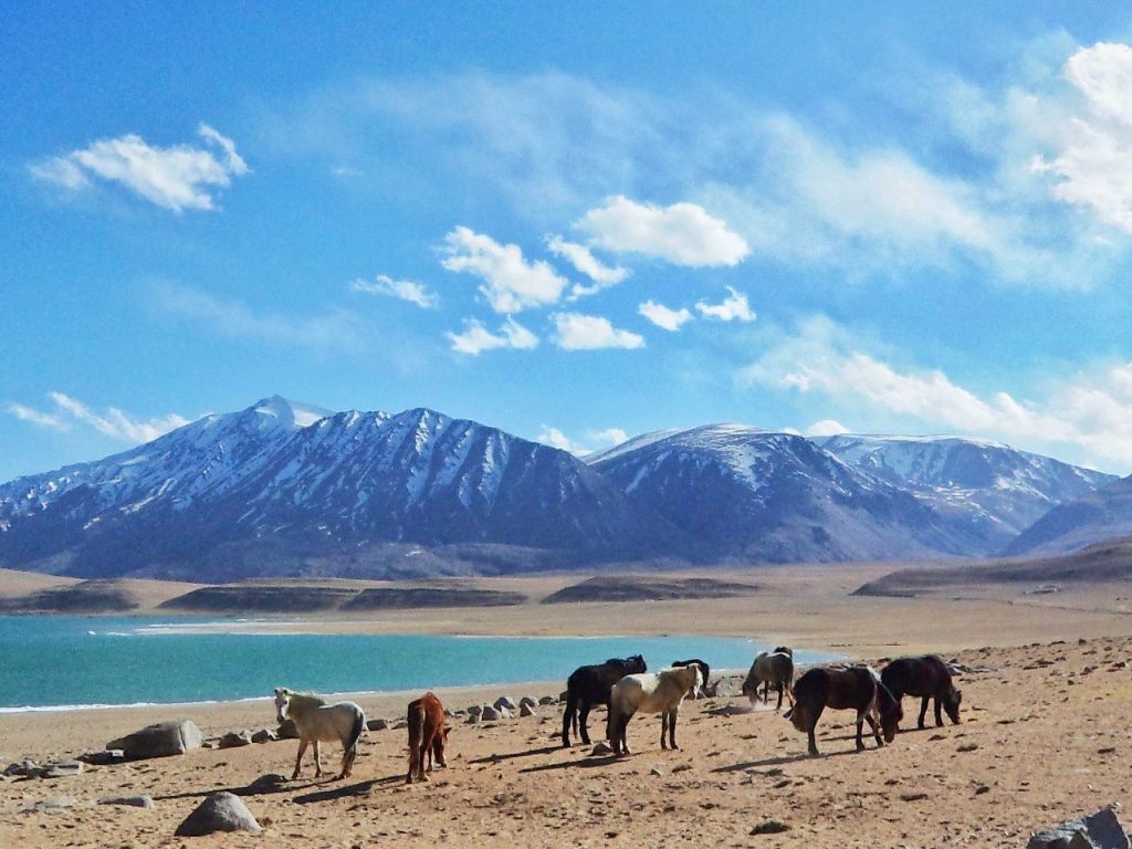 Beautiful Views of Leh Ladakh