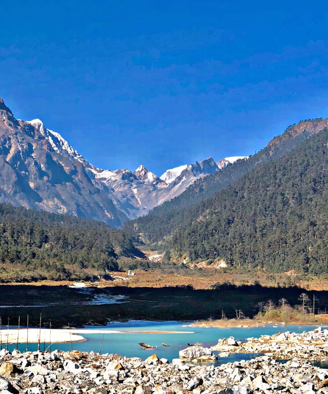 Sikkim, like a painting