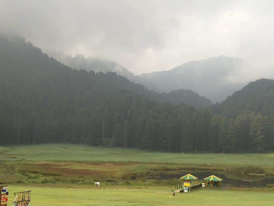 Do you love meadows in Himachal?