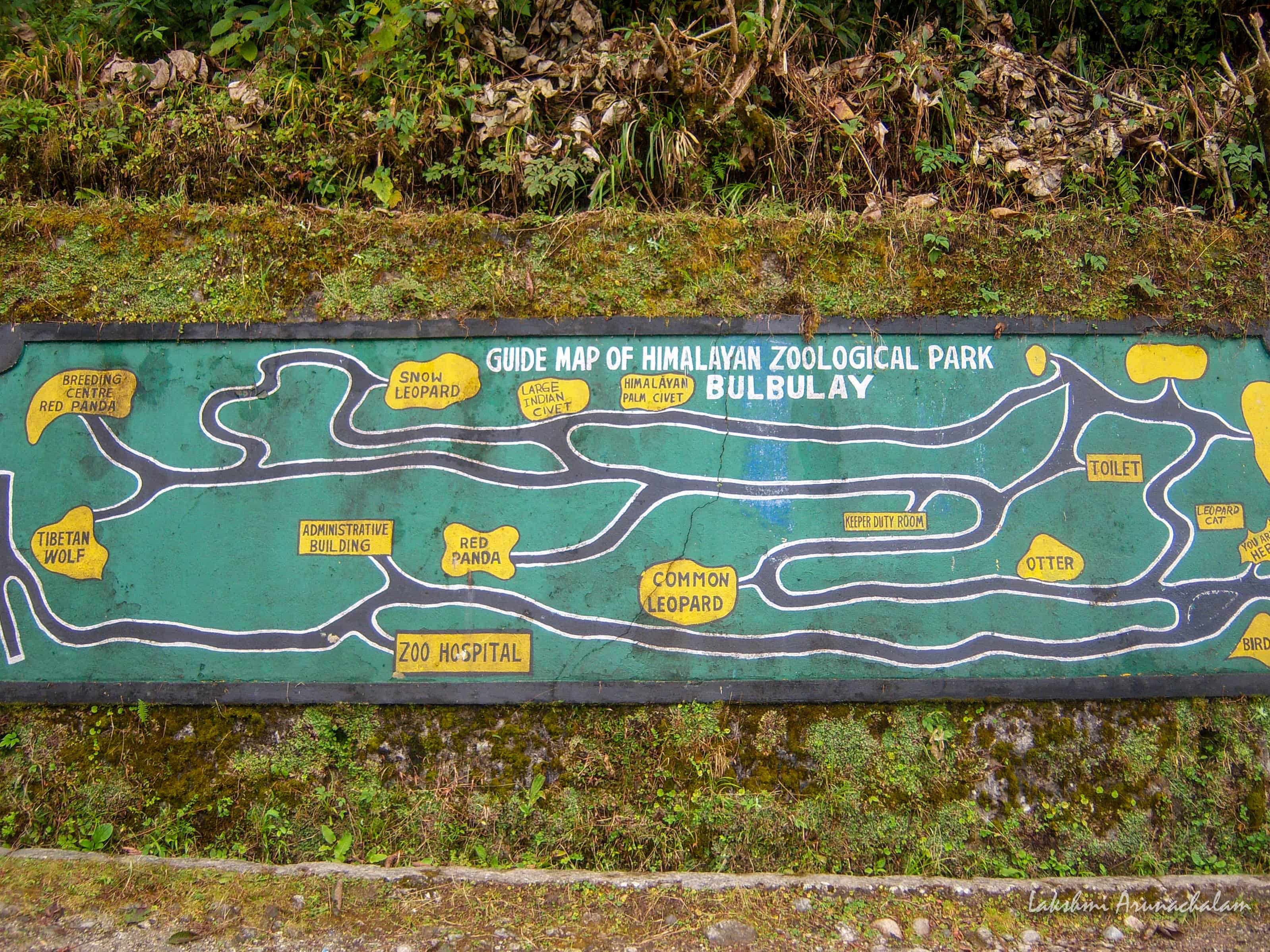 Pathways of Zoological Park, Gangtok