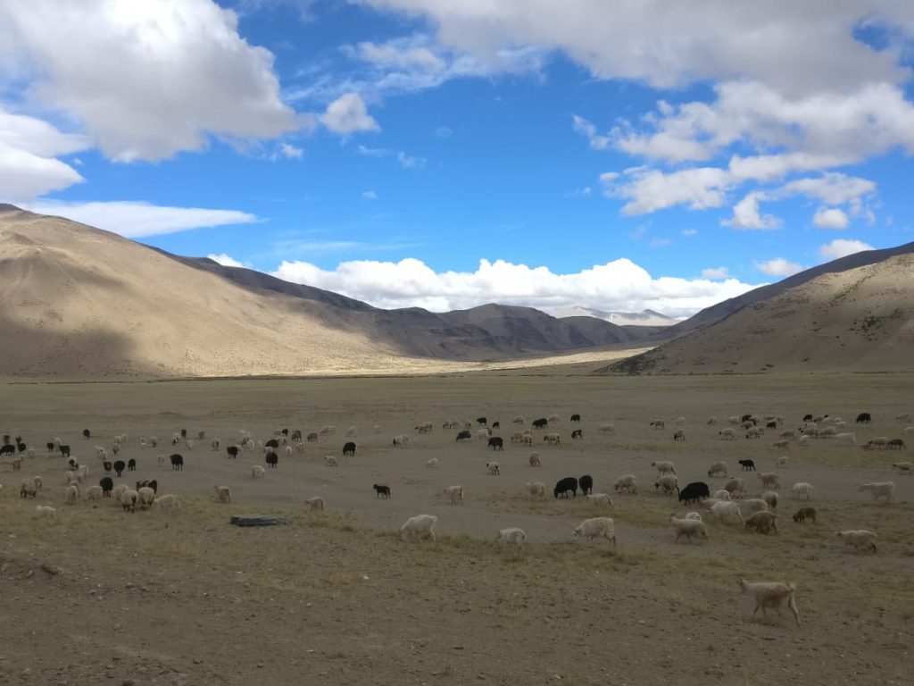 More Plains on Manali Leh Highway