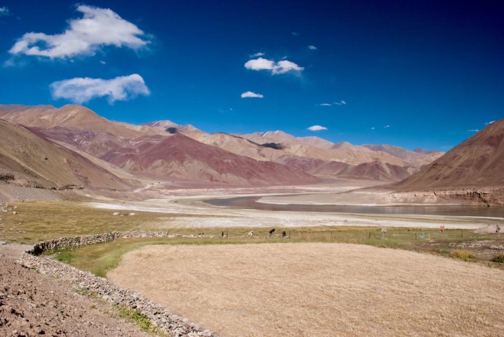 When you get lost in nature in Ladakh