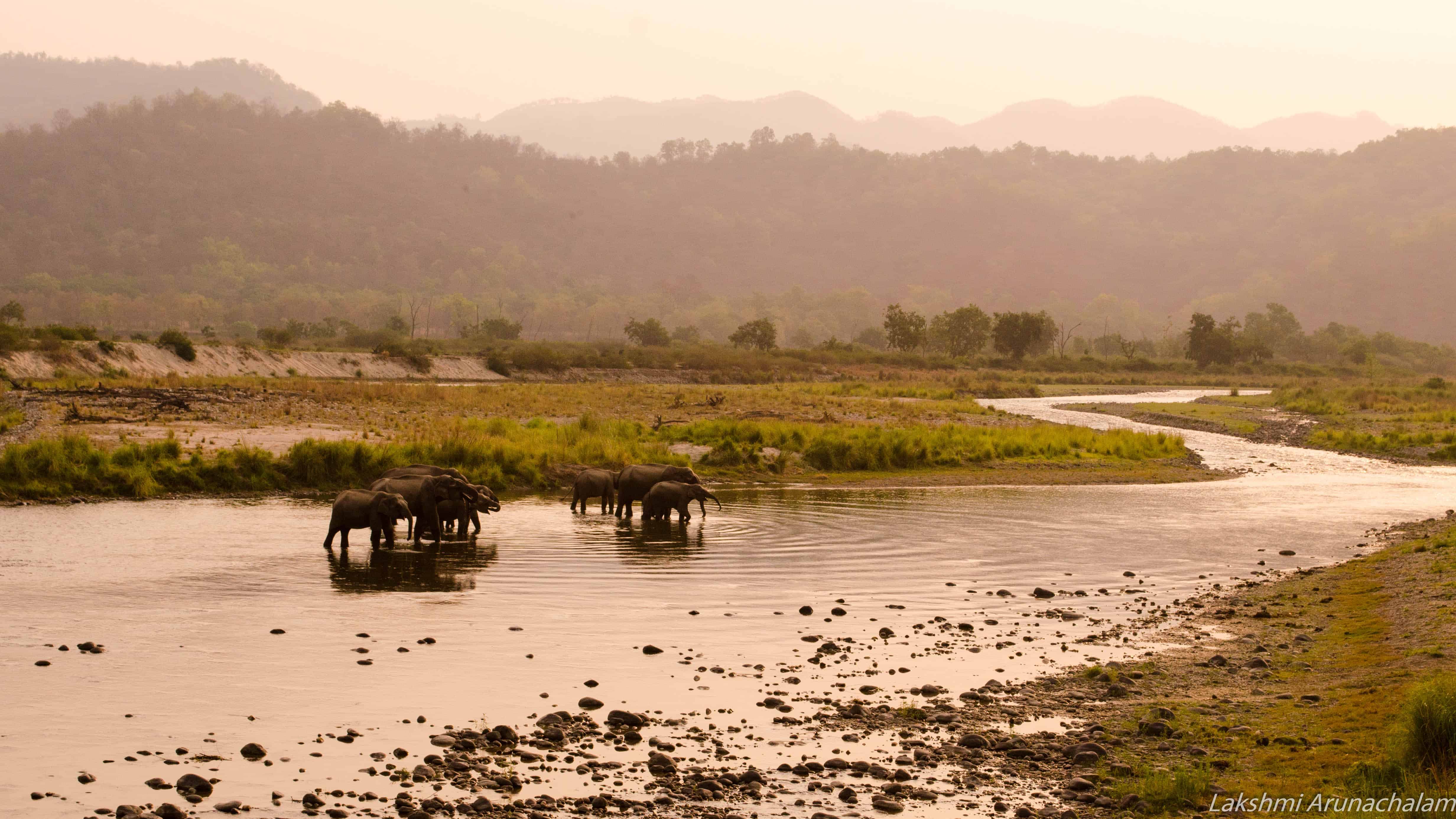 Sunset with elephants crossing Ramganga River, Dhikala