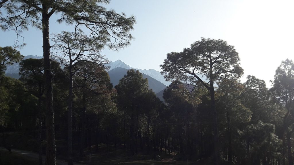 Dhauladhar mountain range