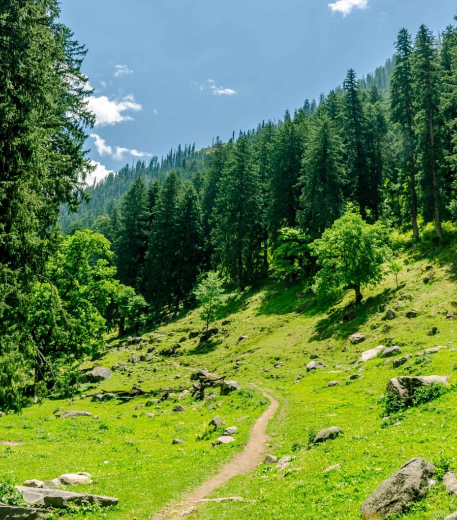Deep into the Parvati Valley