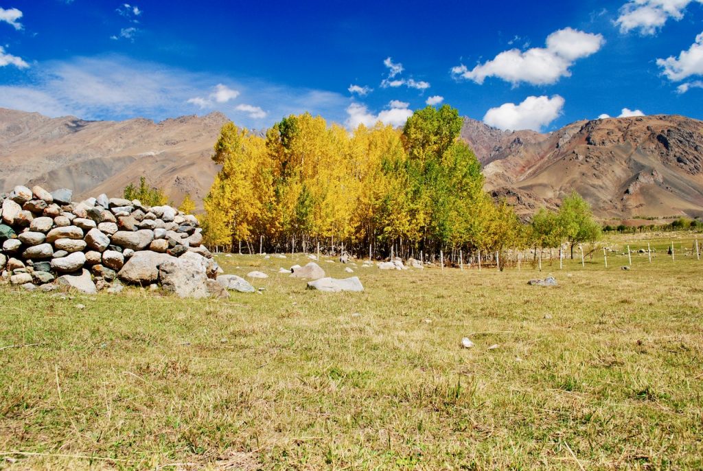 Autumn colors on Srinagar Leh Highway
