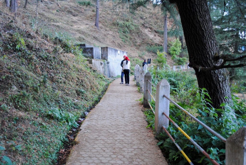 Little pathways in dense forests near Kasar Devi