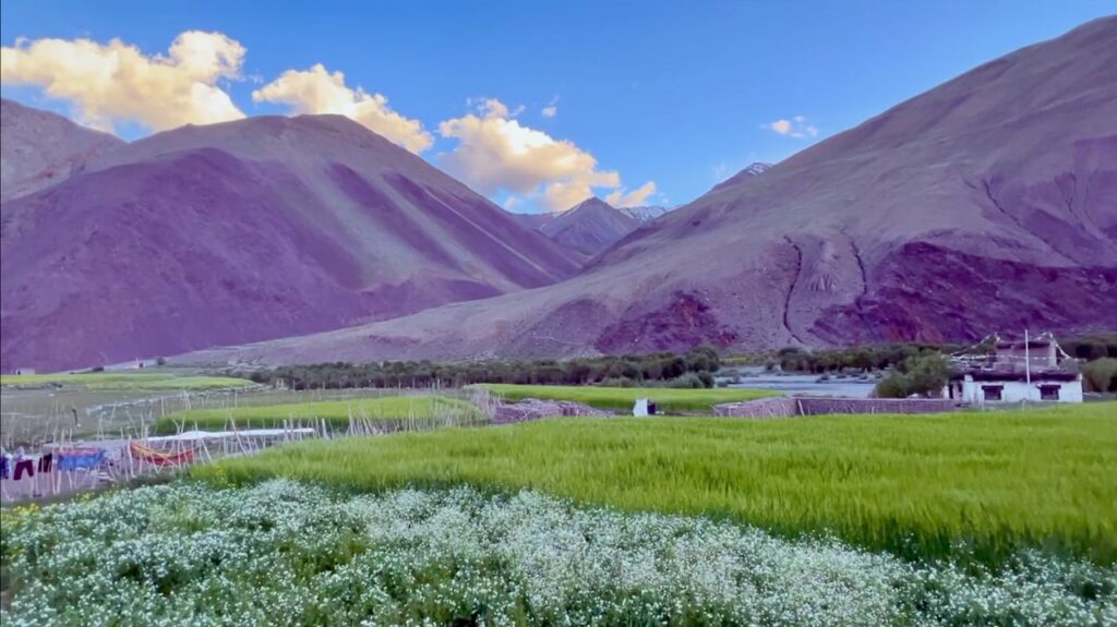 Teriphu Village - Beautiful Views