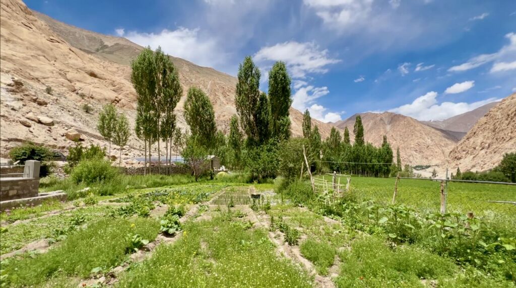 Teri Village - Kitchen Garden of Cho House at Terido