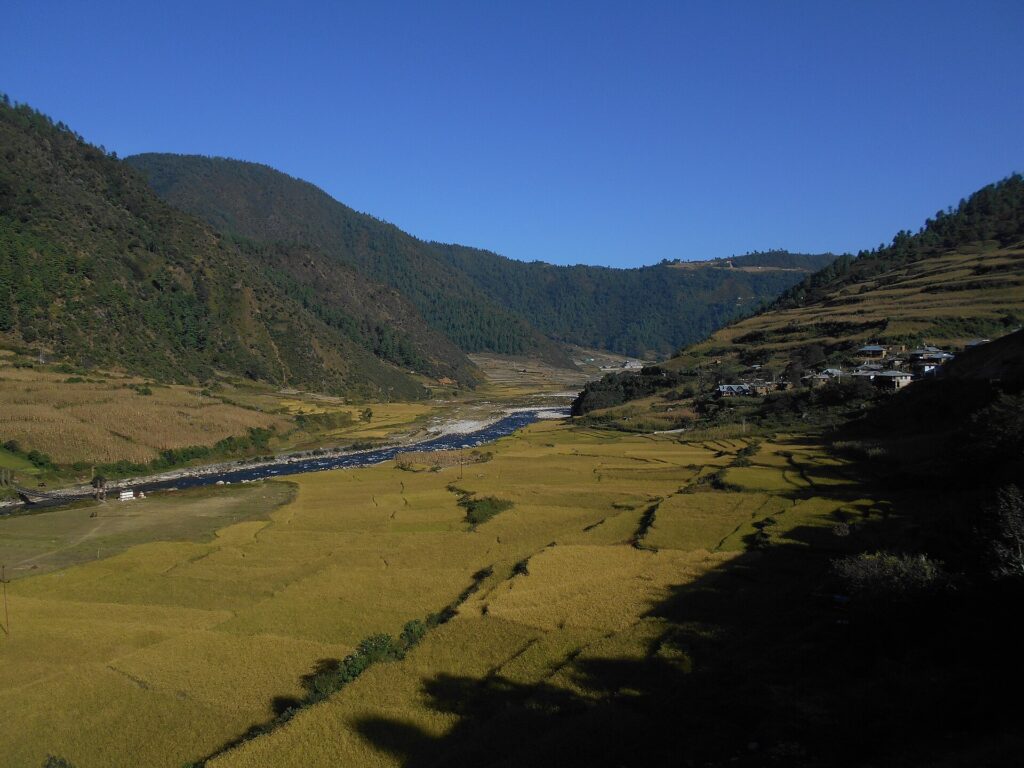 Dirang Valley with golden fields along the river, a common overnight stop on the Guwahati to Tawang route