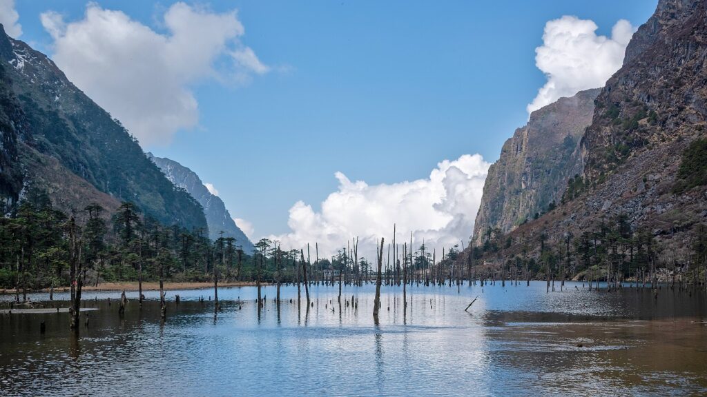 Sangetsar Tso, also called Madhuri Lake, with dead tree trunks standing in the water near Tawang