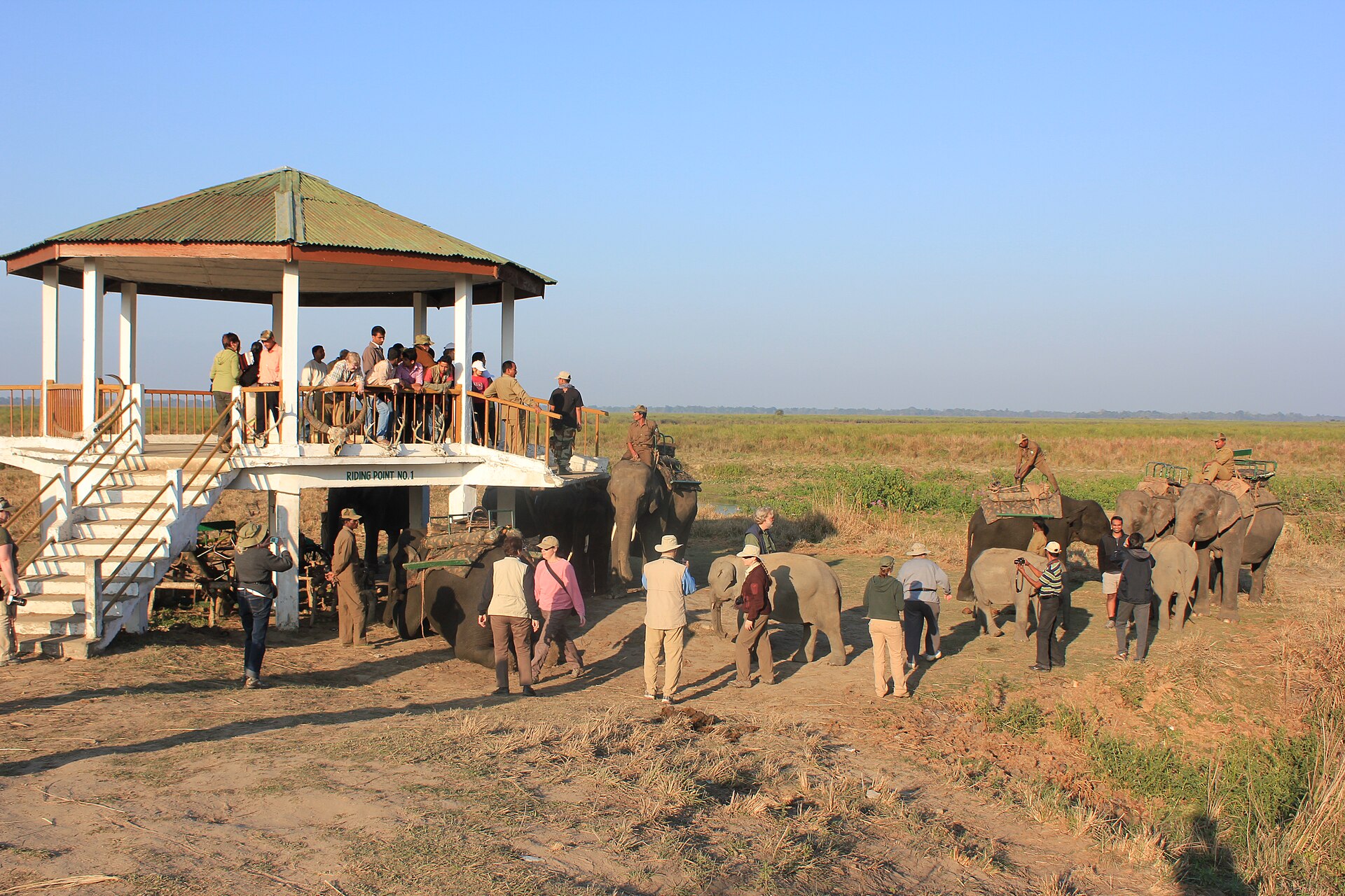 Elephant safari riding point in Kaziranga National Park with tourists boarding at dawn