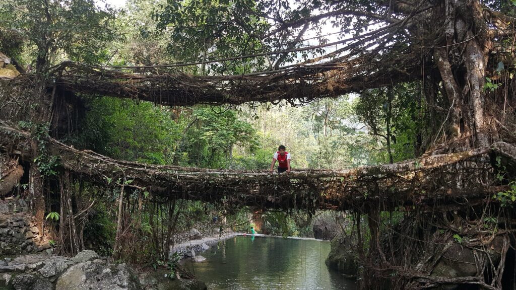 Double decker living root bridge at Nongriat village near Cherrapunji Meghalaya