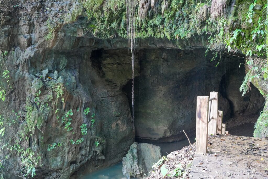 Railed walkway at the entrance of Siju Cave near the Simsang River in October