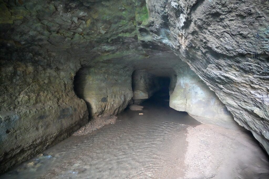 Water-floored passage just inside Siju Cave in South Garo Hills Meghalaya