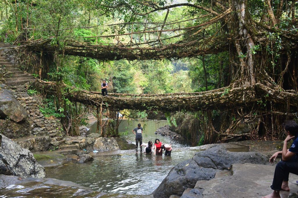 Visitors in the natural pool below the double decker living root bridge at Nongriat