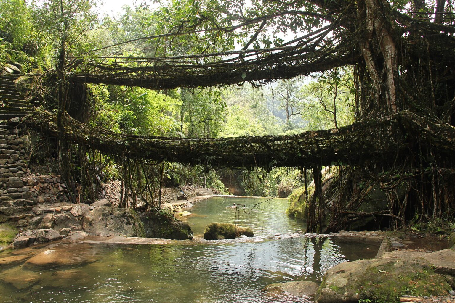 Double decker living root bridge at Nongriat over the Umshiang stream, Meghalaya