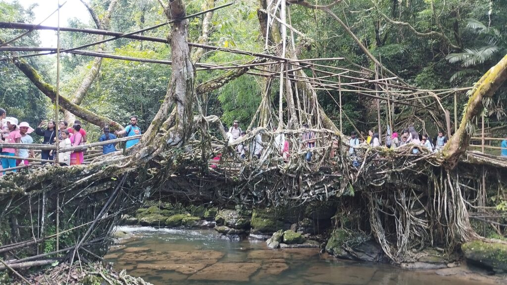 Single decker living root bridge at Riwai near Mawlynnong crowded with visitors