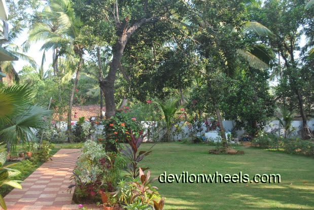 Garden or lawn in Ezue Bia Guest House at Candolim Beach in Goa
