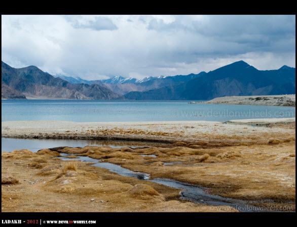 Blue Hues of Pangong Tso Lake - Ladakh