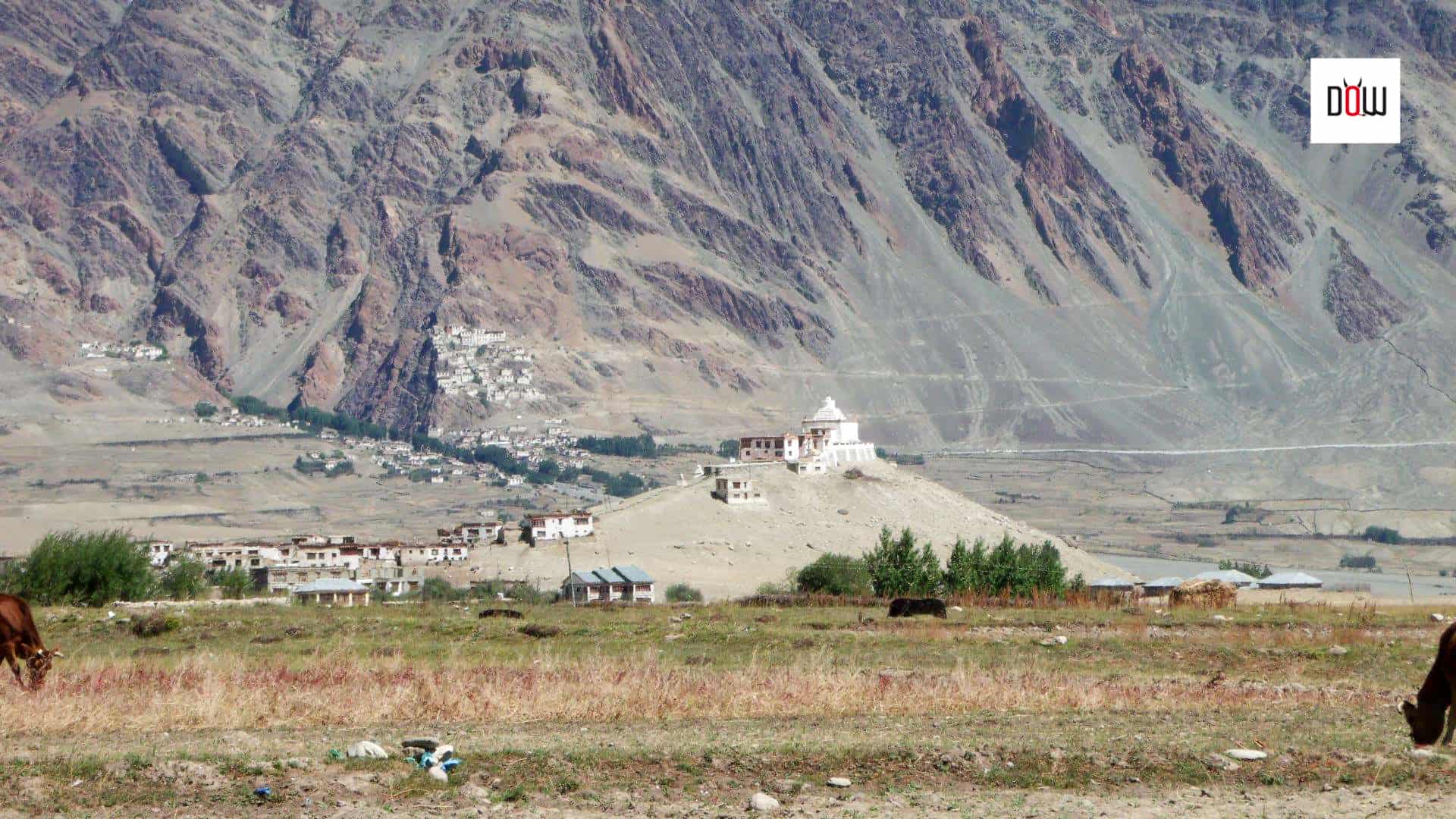 Karsha Monastery near Padum, a distant view