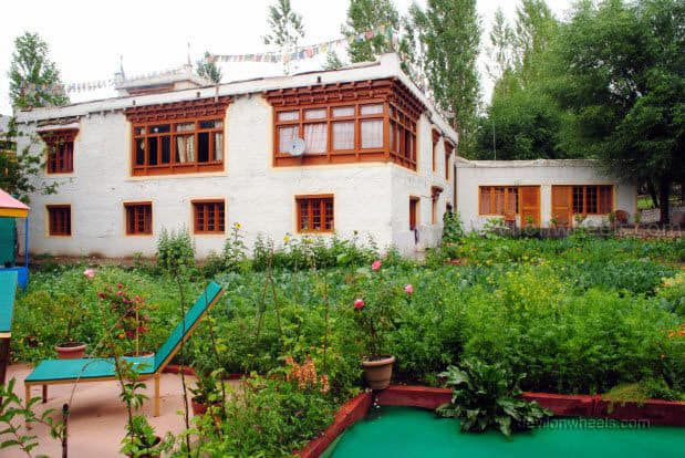 Garden at Hotel Chubie Leh - Ladakh