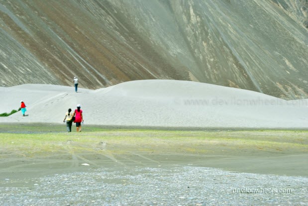 Sand dunes of Hunder, Nubra Valley in Leh - Ladakh