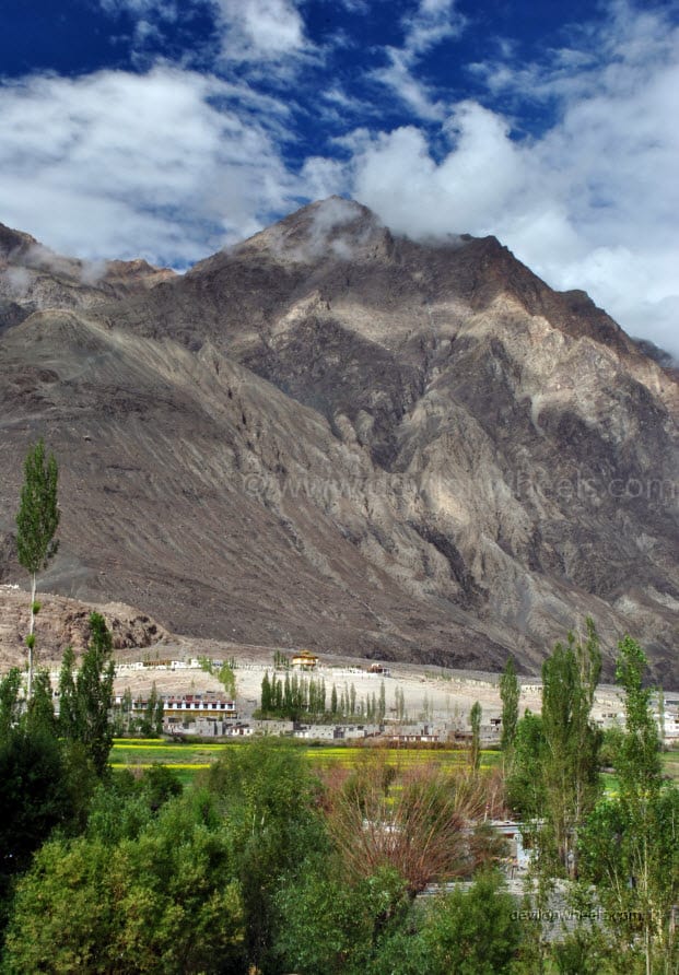 Diskit in Nubra Valley of Leh - Ladakh