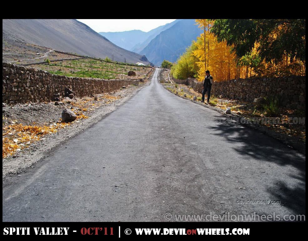 Views between Tabo and Sumdo in Spiti Valley