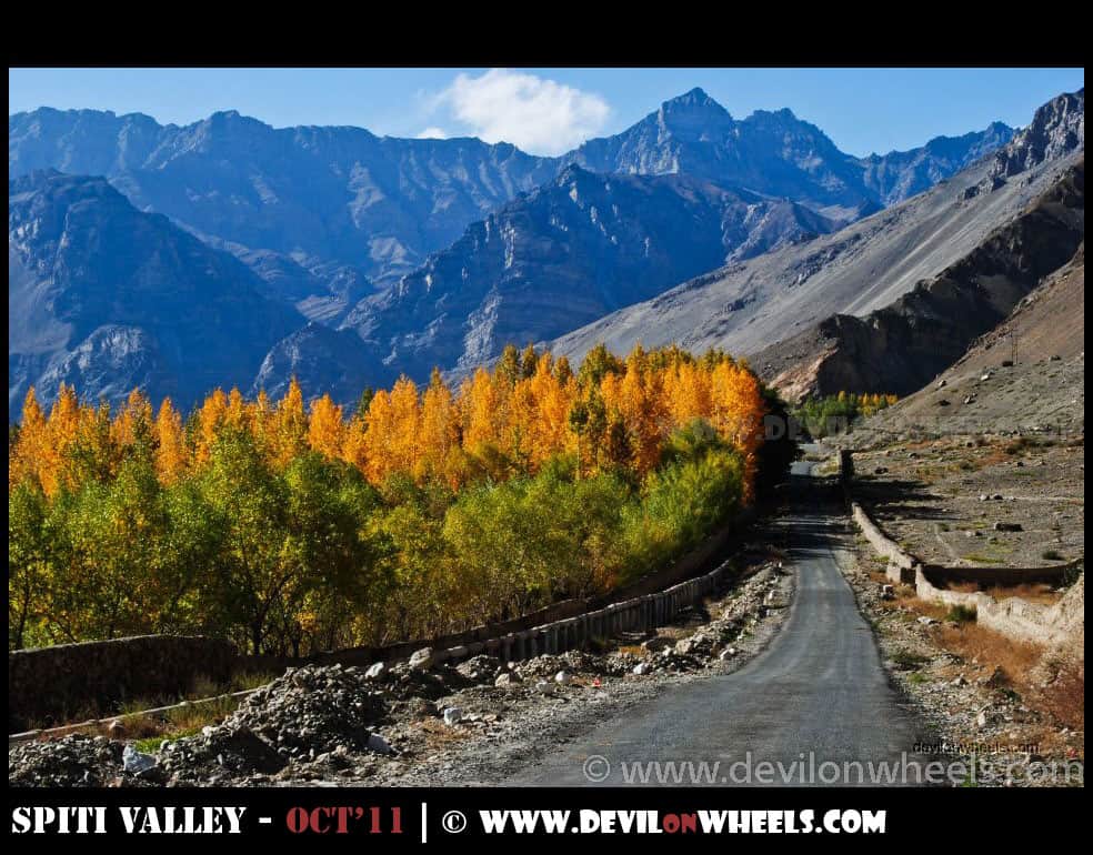 Autumn Colors in Spiti Valley