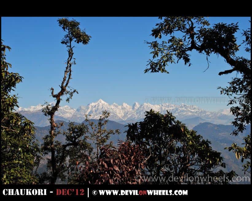 Amazing View of Panchulli Peaks on the Hike to Musk Deer Park at Chaukori