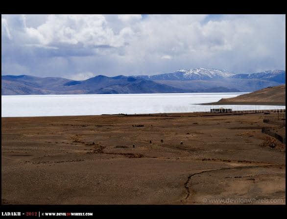 Frozen... Tso Moriri Lake As Seen from Korok Monastery...