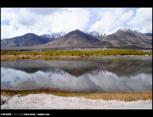 Lovely Reflections in Leh