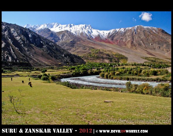 A Scenary to Die for in Suru Valley