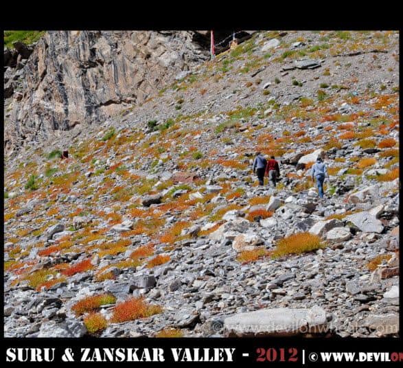 Hiking our way to Zongkhul Monastery in Zanskar Valley