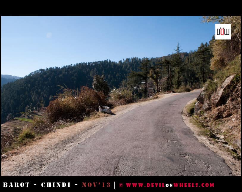 Roads leading to Chindi from Rohanda, Himachal