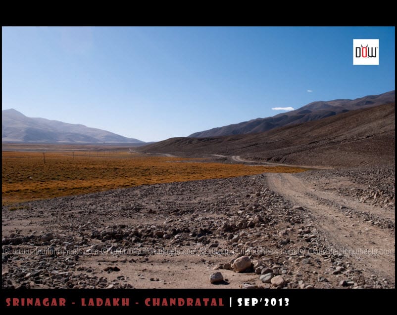 The road to Chusul from Pangong Tso