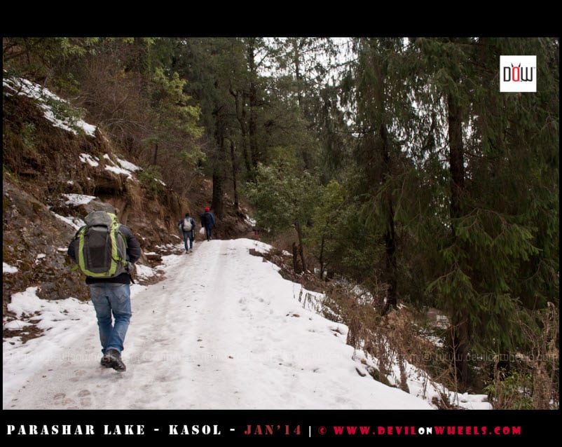 The Snow Trek to Prashar Lake Begins...