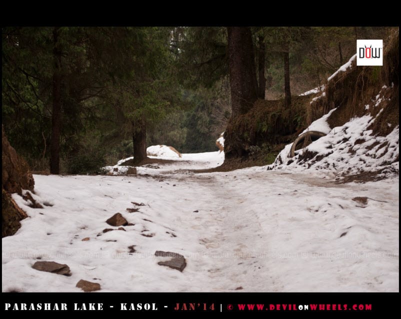 The Snow Filled Road to Prashar Lake