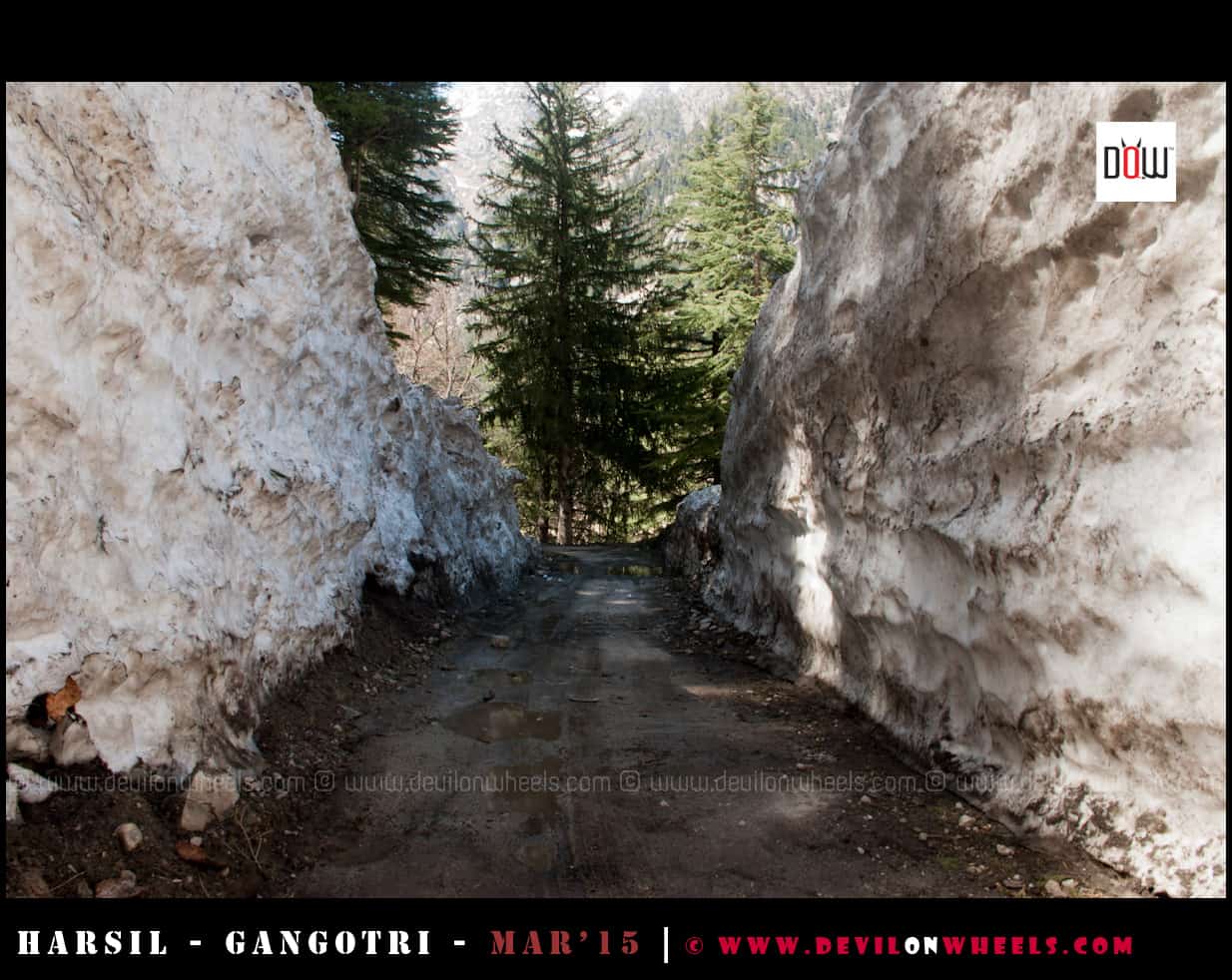 The High Snow Walls near Dharali