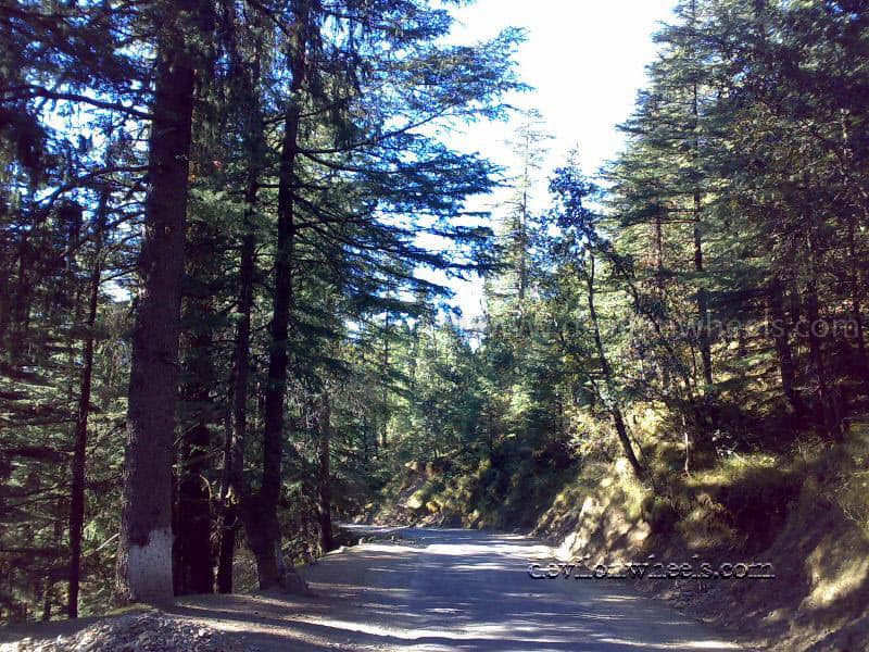 Views enroute Kufri from Chail